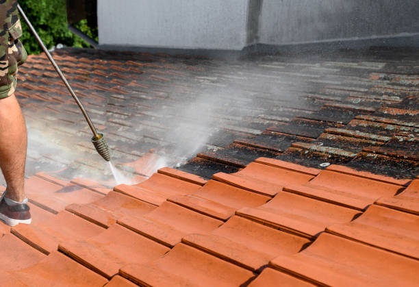 Best Exterior Home Cleaning  in Ovilla, TX